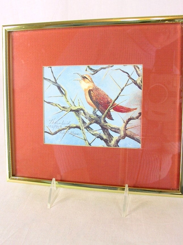 Vintage Bird Print Framed Matted Signed and Numbered Thornbird 1980s