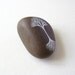Tree with Roots 2 - Hand-painted beach pebble - by Natasha Newton