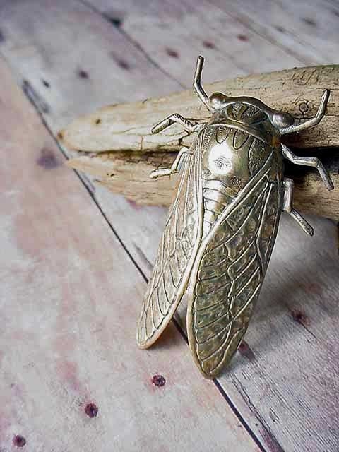 Gold Brooch Cicada Unusual Insect Bug Wings Unisex, Gifts under 20, Ready to ship, Gift Box - MySelvagedLife