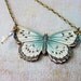 Butterfly Series .013