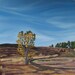 Oil Painting- 20x20- Portland Oregon Landscape