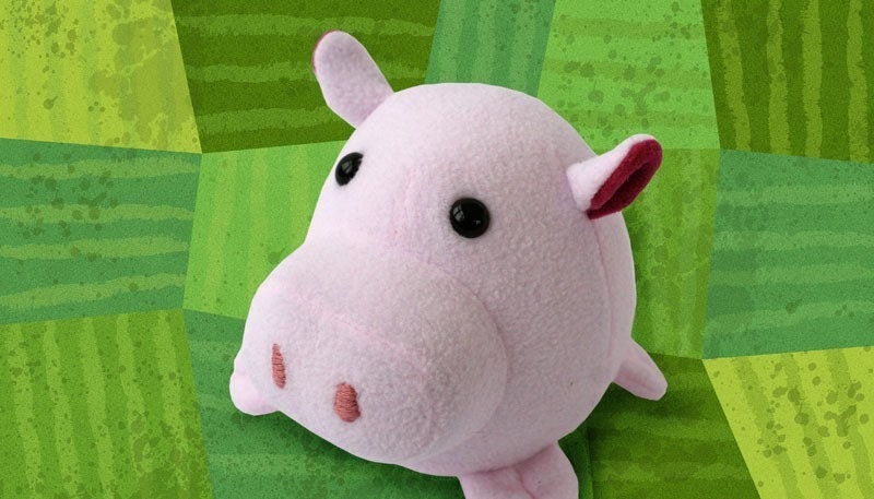 Zooguu Pig Plush - Small - Customize It