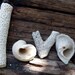 Love Photo 8X10 Free Ship