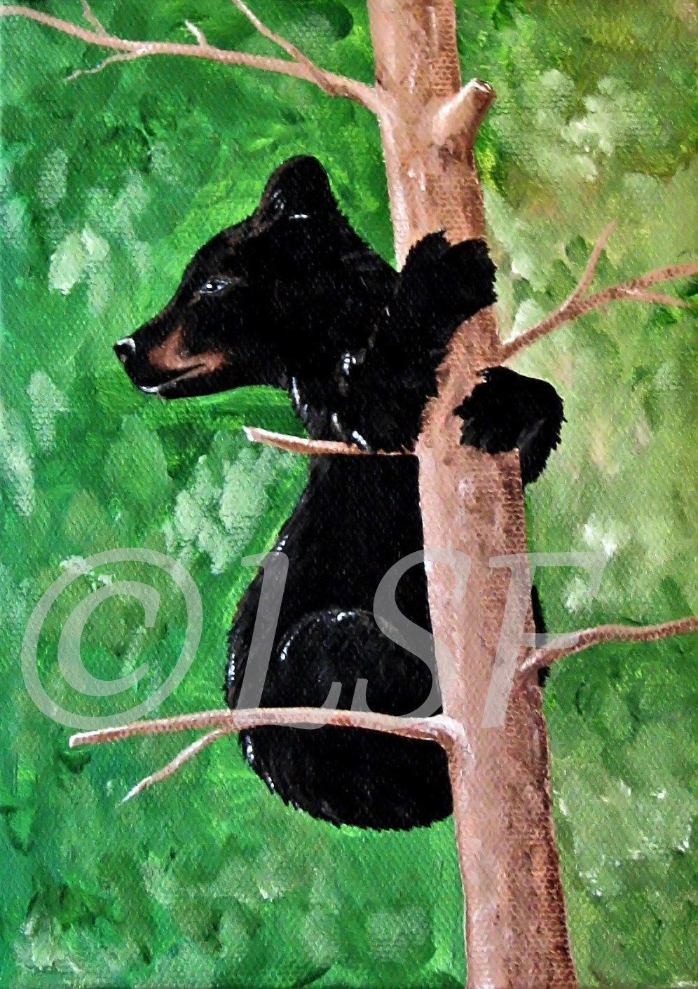 Black Bear Cub in Tree, Painting Print