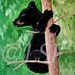 Black Bear Cub in Tree, Painting Print