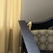 Custom Crib Bedding Set YOU DESIGN - Aviary in Gray and Yellow