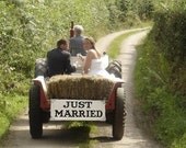 Just MARRIED Wedding sign 20X9 FREE Mr and Mrs champagne tag set