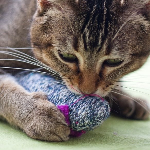 darn socks recycled wool sock  catnip toy mouse