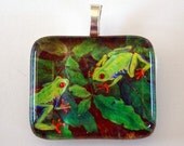Frog Jewelry Pendant Red Eye Tree Frogs Art Glass