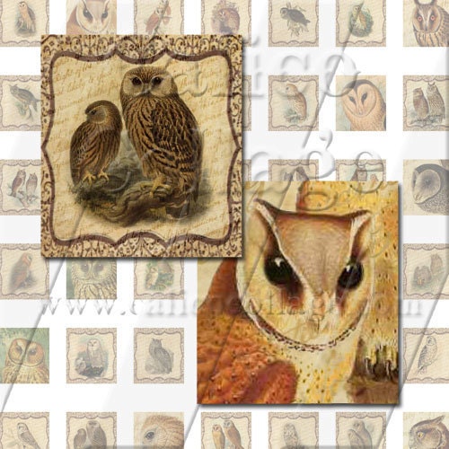 Old World Owls - Instant Download Printable Digital Collage Sheet - .75x.83 Scrabble Tile Size 665