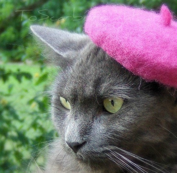 Raspberry Beret - Pink Flambe Wool Felted Beret - French Cat Beret
