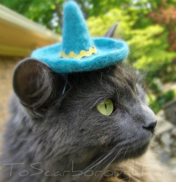 Cat Sombrero - Dog Sombrero - Hand Felted Wool Hat -  Aqua Photo Prop