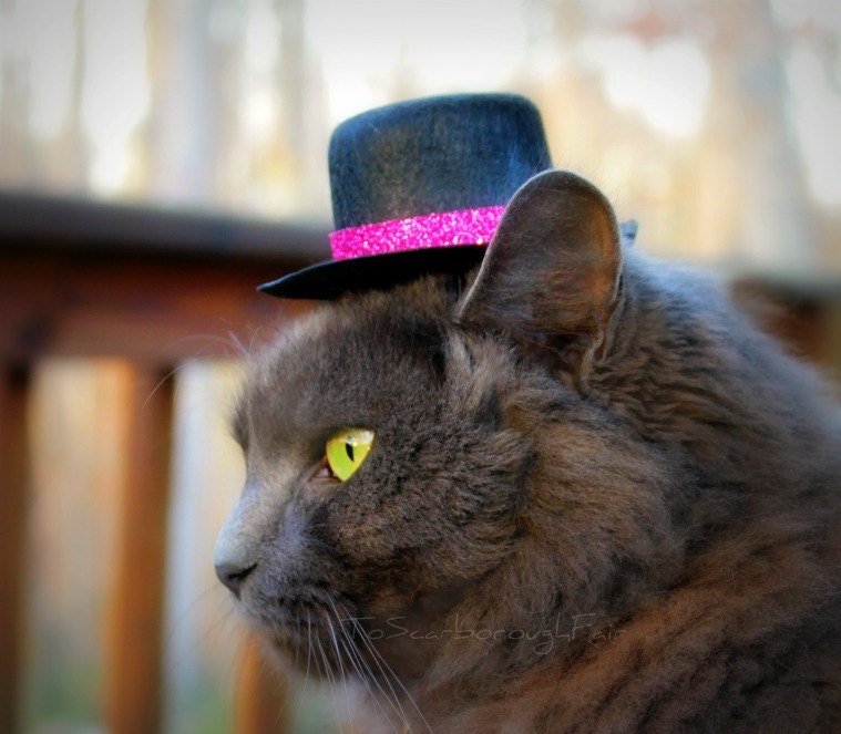 Cat or Dog Hat - Glittery Magenta