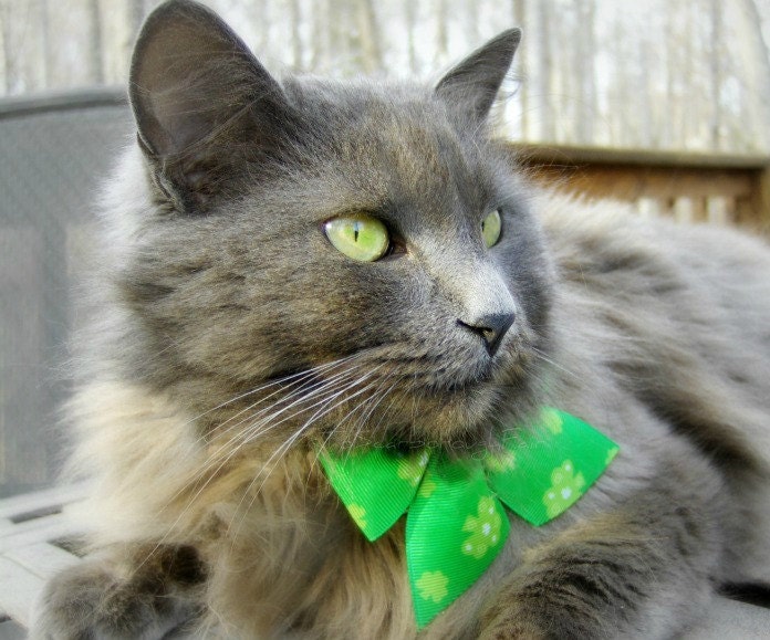 Saint Patrick's Day Bow - The Luck of the Irish