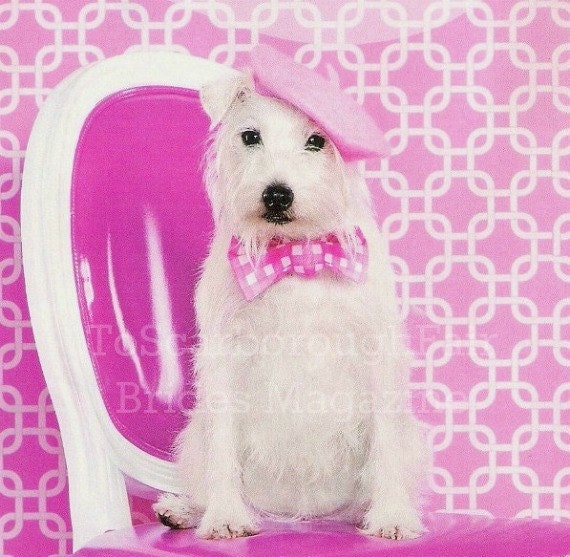 Dog French Beret - As Featured in Brides Magazine November 2010 - Soft Pink Beret