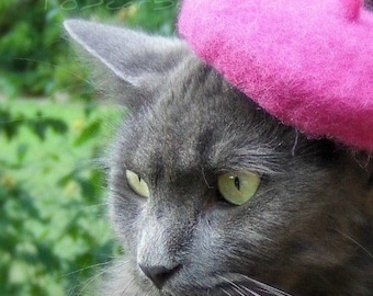 Raspberry Beret - Pink Flambe Wool Felted Beret - French Cat Beret