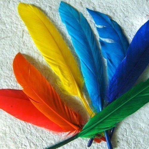 Cat Costume - Native American Inspired Wig with Headband - Catahontas