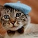 Cat French Beret - Wool Hand Felted Mini Beret for Pets