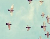 Freedom (5x5 Unframed Original Fine Art Photograph)