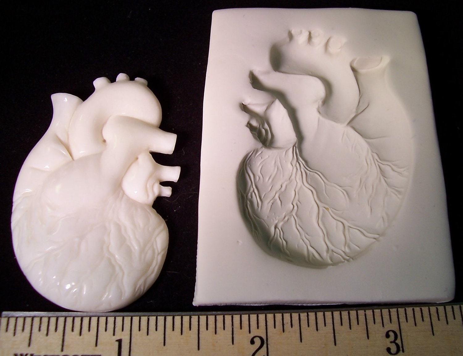 Anatomical Human Heart  - Hard Polymer Clay mold for use with clay Steampunk