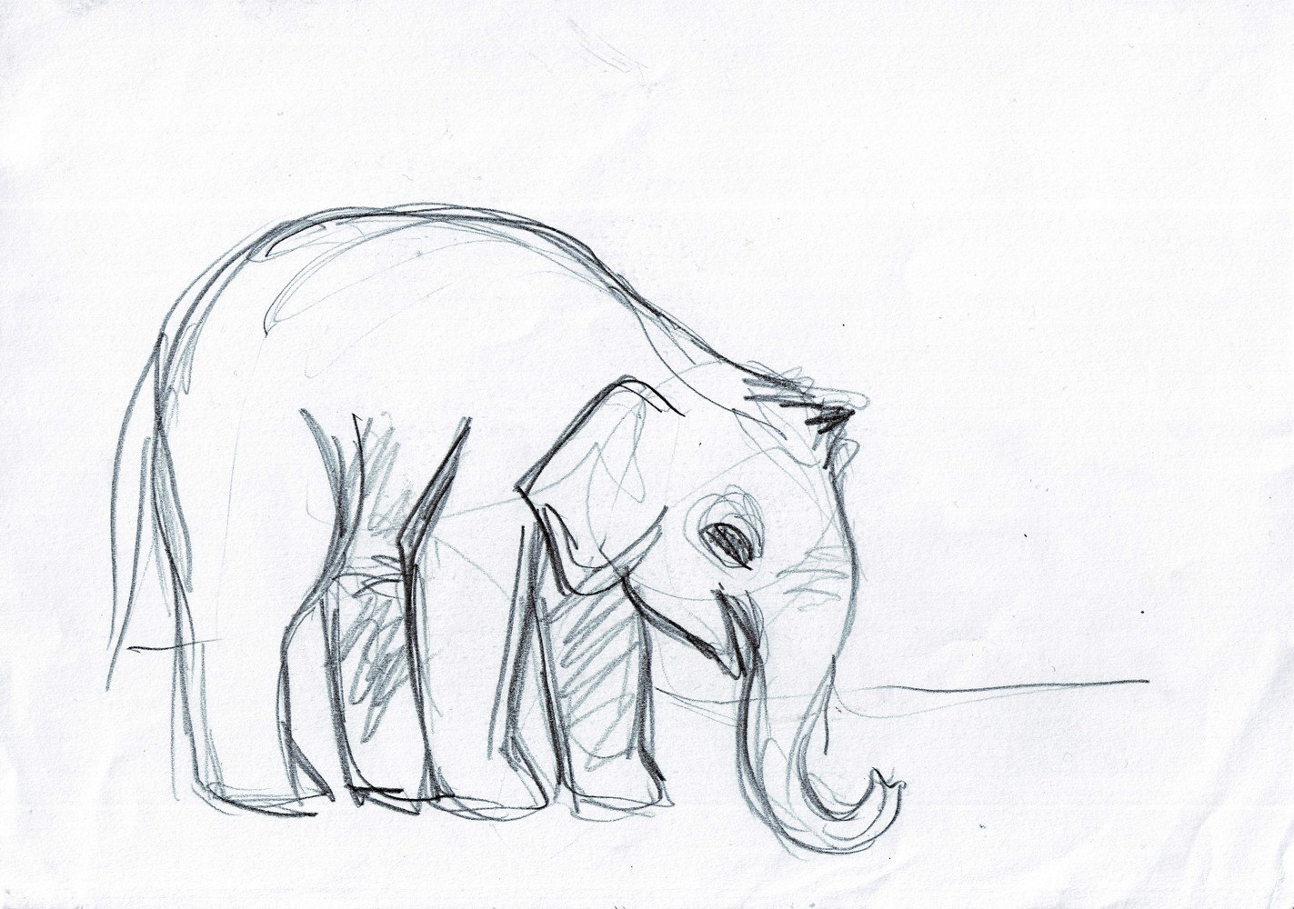 sketch of elephant