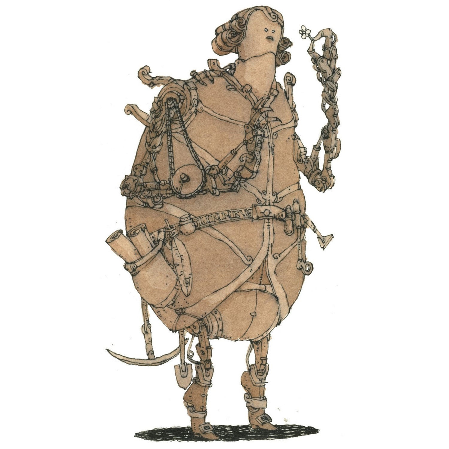 Linnaeus unit