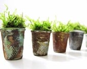 Set of 4 Vintage Thimble Planters with Live Moss
