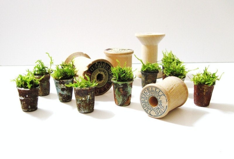 Set of 4 Vintage Thimble Planters with Live Moss