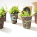 Thimbelina's Miniature Garden - Vintage Sewing Thimble Planter