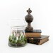 Toadstool Terrarium: Vintage Mushroom Apothecary Jar