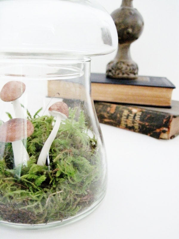 Toadstool Terrarium: Vintage Mushroom Apothecary Jar