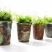 Set of 4 Vintage Thimble Planters with Live Moss