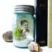 Antique Mason Jar Terrarium: My Beach Wedding