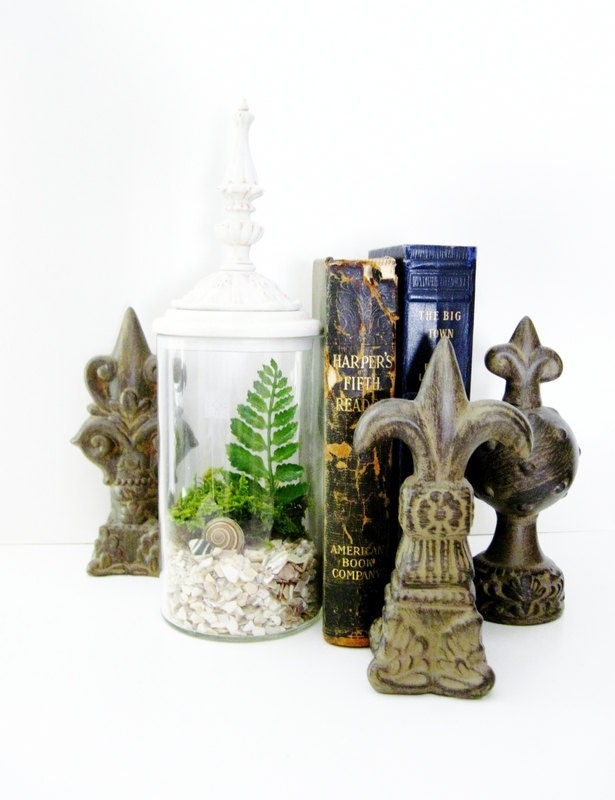 Last One - Decorative Terrarium Set: Woodland White Shabby Chic Jars with Live Plants