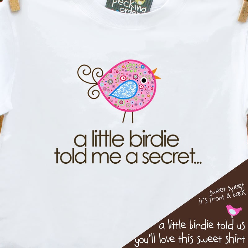 Big sister shirt - whimsy bird secret surprise pregnancy announcement big sister to be shirt