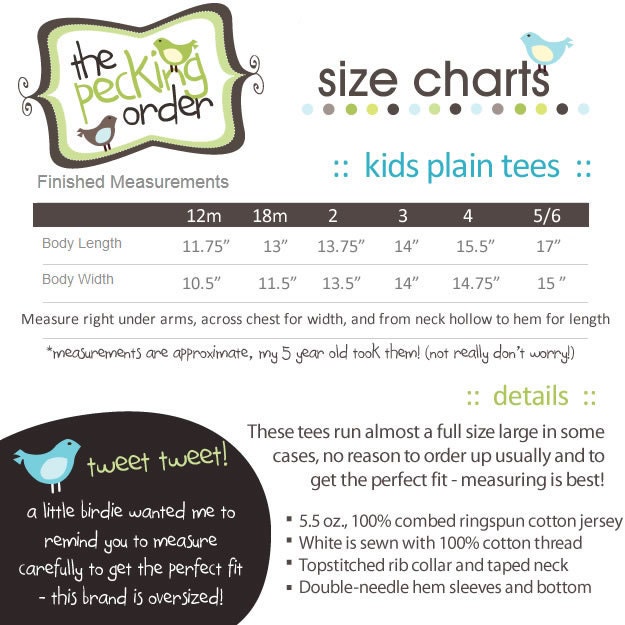 personalized birth announcement onesie - unique new baby gift - add birth stats