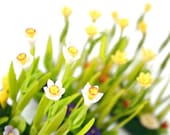 Miniature Polymer Clay Flowers Supplies for Dollhouse Daffodil Minigarden 1 pcs