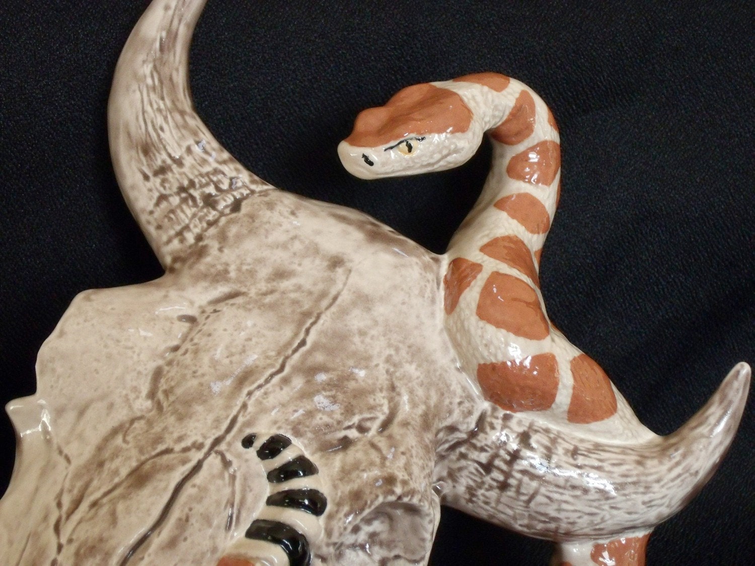 Steer Skull with Rattlesnake