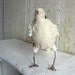 Folk Art Bird,Ring-Necked Dove, Norton