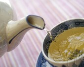Chamomile Poured - 5 x 7 Fine Art Photography Print