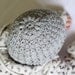 Instant download - Crochet hat PATTERN (pdf file) - Spring Blossom Hat (0-3, 6-12, 12-24 months)