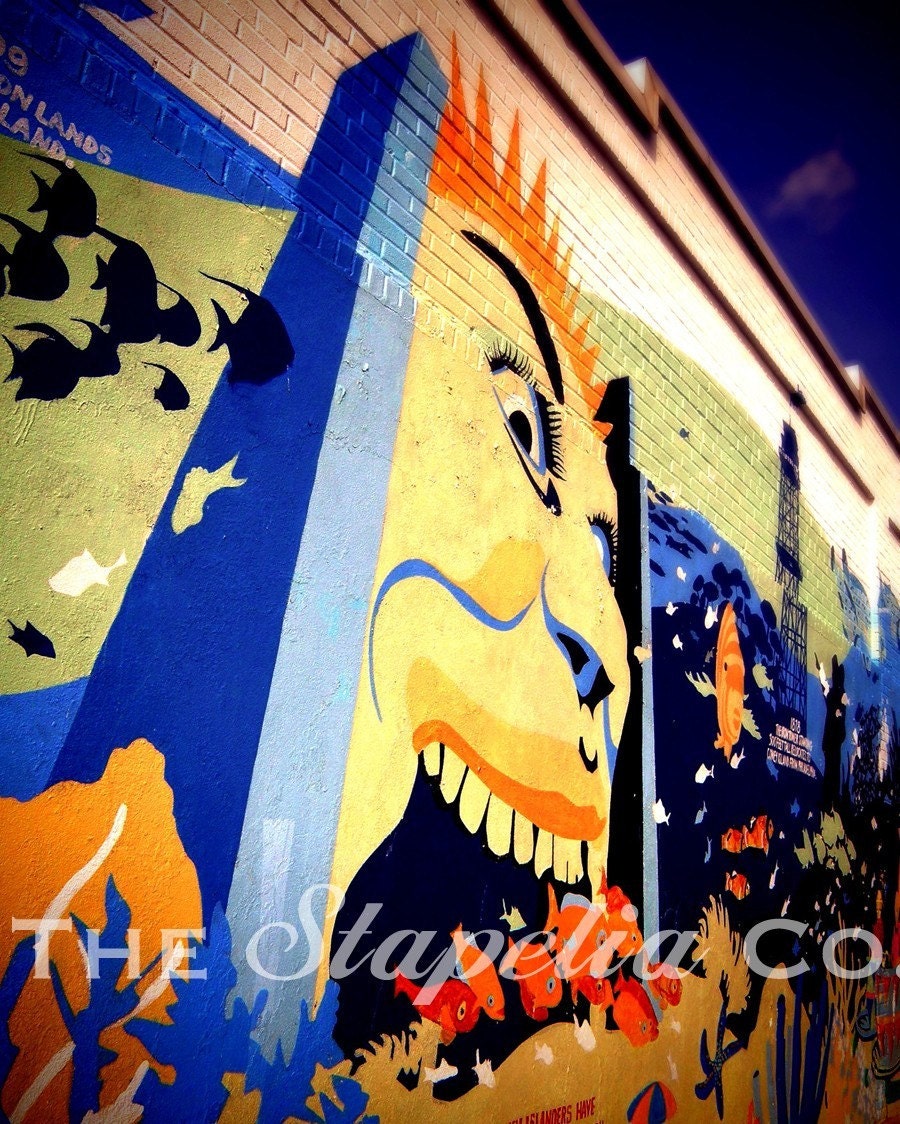 Coney Island Wall Mural Art Photo