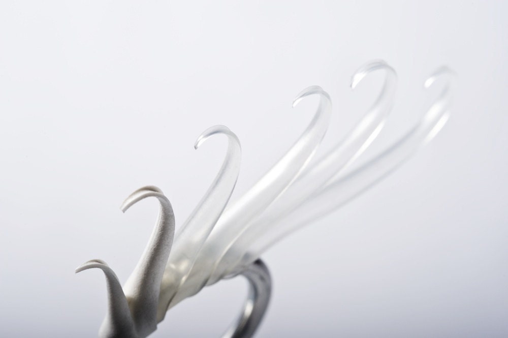 Sue Ring with Soft White and Translucent spines - made to order