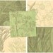 2.5 Inch Squares - Botanical Collages - Digital Collage Sheet 936