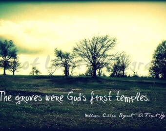 Tree Grove with Quote- 5x7 Etsy Original Photography Art Print