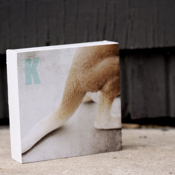 Nursery Art, Kangaroo, Ready to Hang Photo Block, 6"