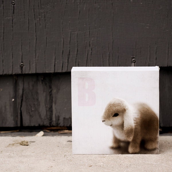 Nursery Art, Bunny, Ready to Hang Photo Block, 8"