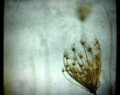 undressed, an 8x8 print