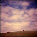 Hooray for Horsies, and clouds are cool too