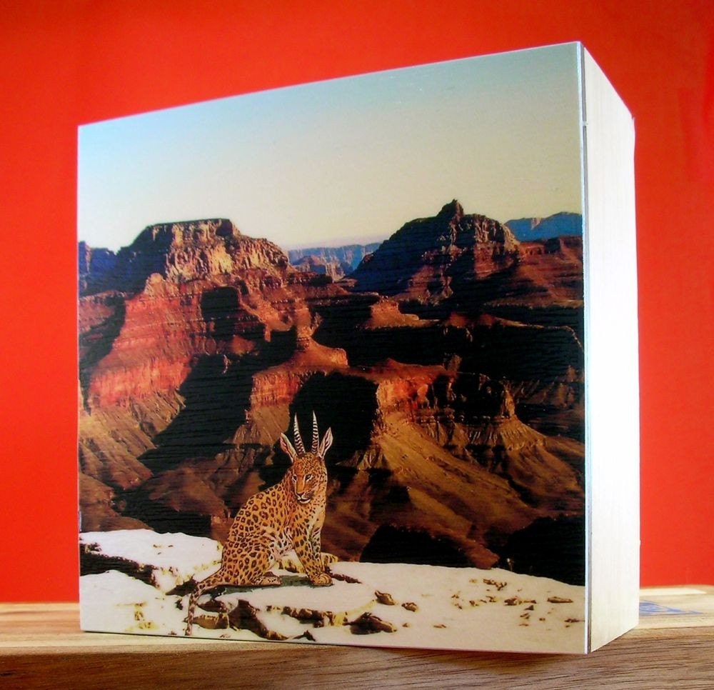 Quirky Photo Block, 5'x5', Wild LeoDeer at the Grand Canyon ,Arizona
